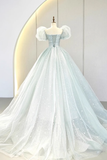 Ball Gown Short Sleeves Tulle Light Sky Blue Long Prom Dresses HZ1024