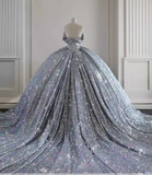 Ball Gown Strapless Sequin Silver Long Prom Dresses HZ1024