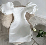 Elegant Sheath Strapless Short Sleeves Party Dress Homecoming Dresses HZ1024
