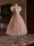 Elegant Ball Gown High Neckline Pink Tulle Party Dress Lace Homecoming Dresses HZ1024