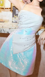 Elegant A Line Straps Sequin Birthday Dress Homecoming Dresses HZ1024