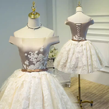 Elegant Ball Gown Off The Shoulder Birthday Outfits Tulle Homecoming Dresses HZ1024