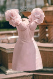 Stunning Short Hoco Dress Corset Homecoming Dress Party Dress Outfits HZ1024