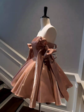 Sexy A line Straps Brown Birthday Outfit Homecoming Dresses HZ1024